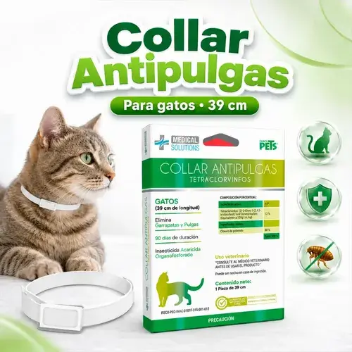 Collar antipulgas gatos's photo #1