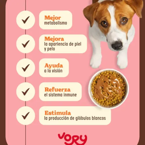 Aderezo de pollo para perros 260g's photo #2