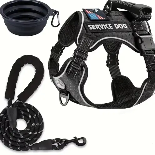 Pechera Service Dog's photo #1