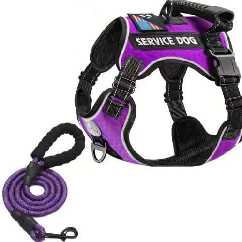 Pechera Service Dog's photo #1
