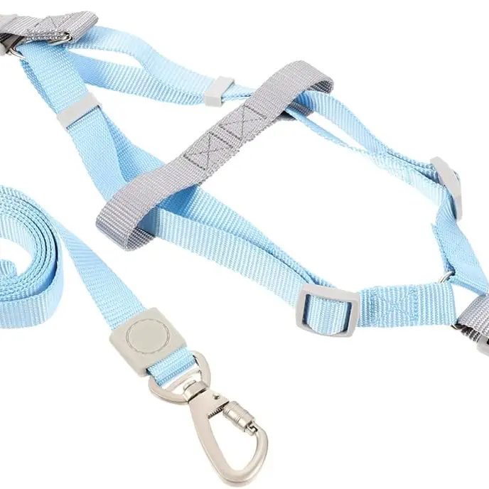 Correas Medianas — imagen 1