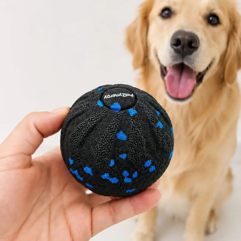 Pelota Interactiva Grande's photo #1