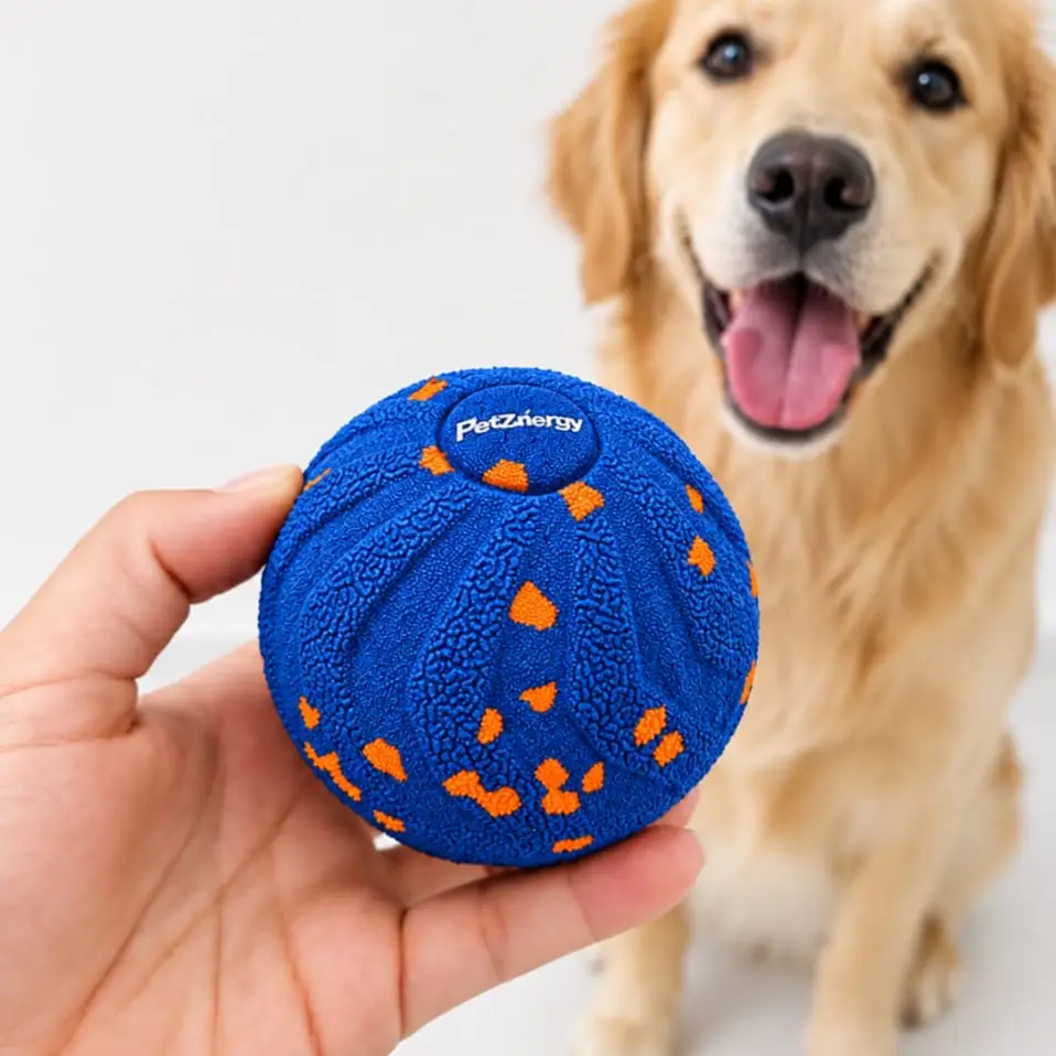 Pelota Interactiva Grande's photo #1