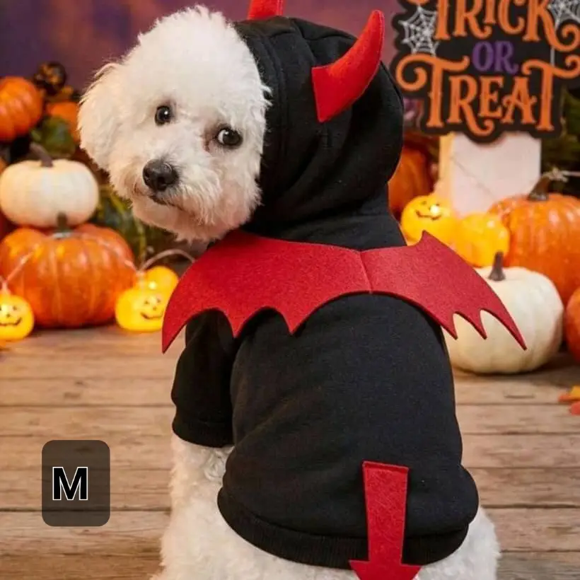 Ropa Halloween M — imagen 3