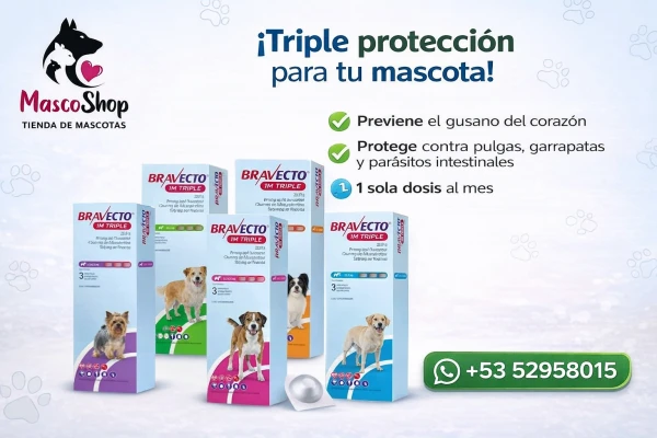 Bravecto 1M Triple Todos los pesos's foto | Masco'Shop |  BizneCubano