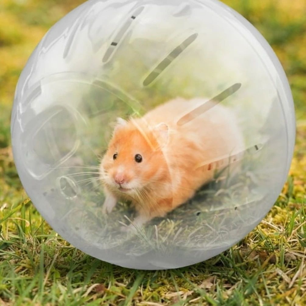 Bola de Hamster's foto | Masco'Shop |  BizneCubano