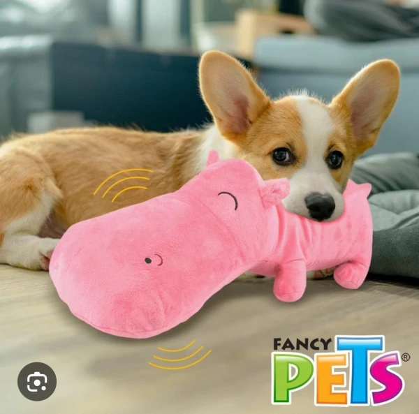 Hipopótamo Fancy Pets's foto | Masco'Shop |  BizneCubano