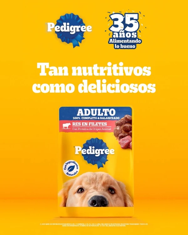PEDIGREE® SOBRE – ALIMENTO HÚMEDO's foto | Masco'Shop |  BizneCubano