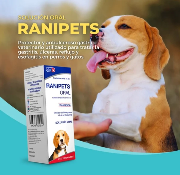 RANIPETS ORAL – Ranitidina's foto | Masco'Shop |  BizneCubano