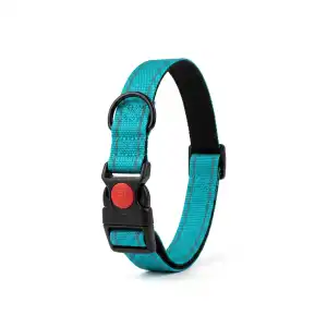 Collar grande con protección miniatura 2