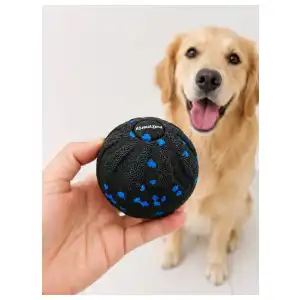 Pelota Interactiva Grande miniatura 2