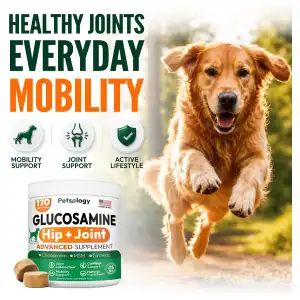 Glucosamina Hip+Joint todas las edades y tamaños miniatura 1