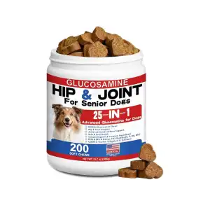 Glucosamina para perros Senior miniatura 1
